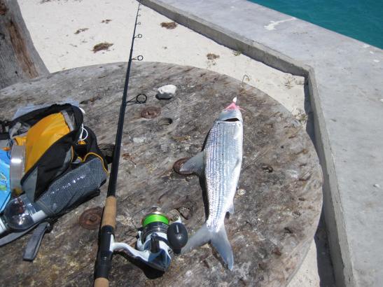 Bonefishing kit Bonefish 2