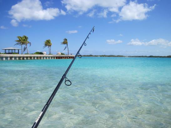 Provo Bonefish Territory Typical Provo Bonefish Territory