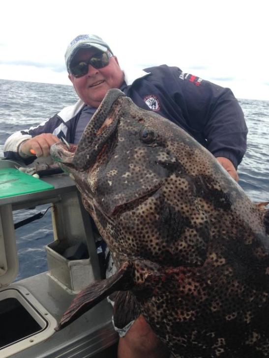 This Monster Cod was released