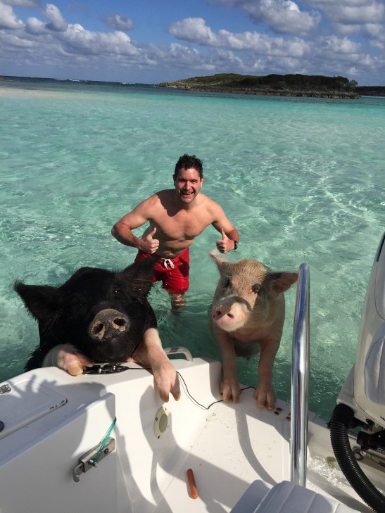 Swimming with Pigs