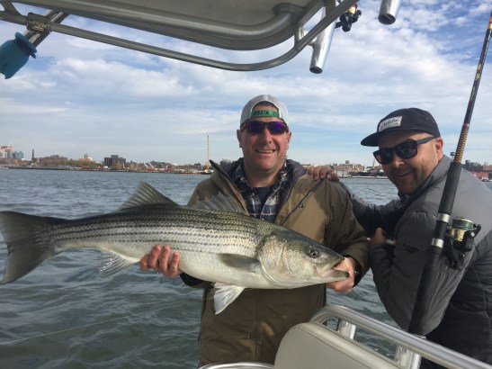 Nice Striper from the East River