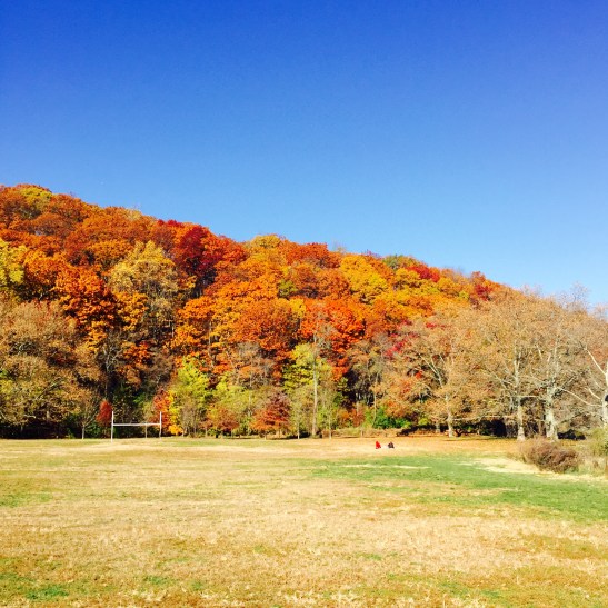Beautiful fall colors inspired the crazies