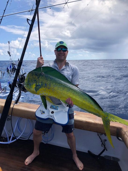 Mahi Mahi